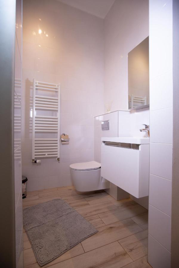 Alessia Apartment In The Old Town 티미쇼아라 외부 사진